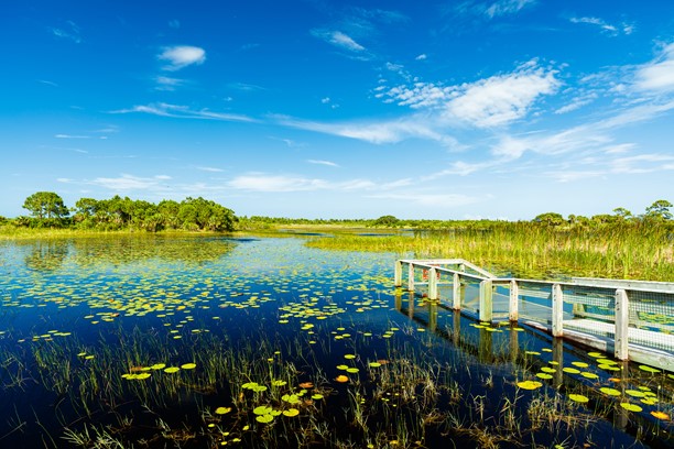 Everglades Environmental Protection