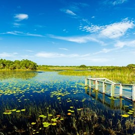 How the Everglades are Stimulating Environmental Protection
